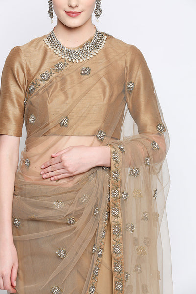 Eva Beige Net Embroidered Saree